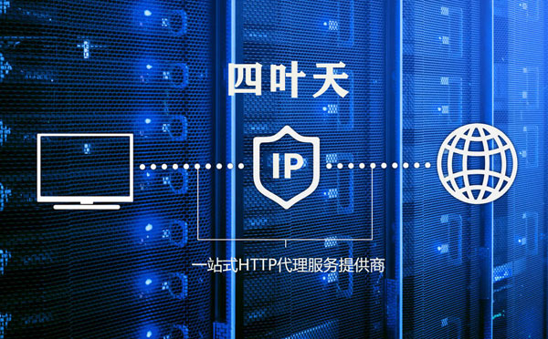 【来宾代理IP】代理IP的主要用途和使用注意事项